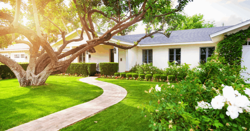 Maximizing Curb Appeal: Landscaping Ideas for Your Home | Patterson Company