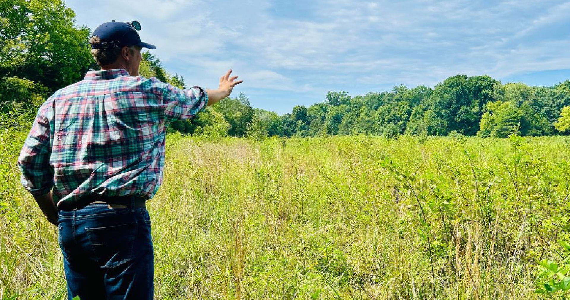 Green and brick condos built by Patterson