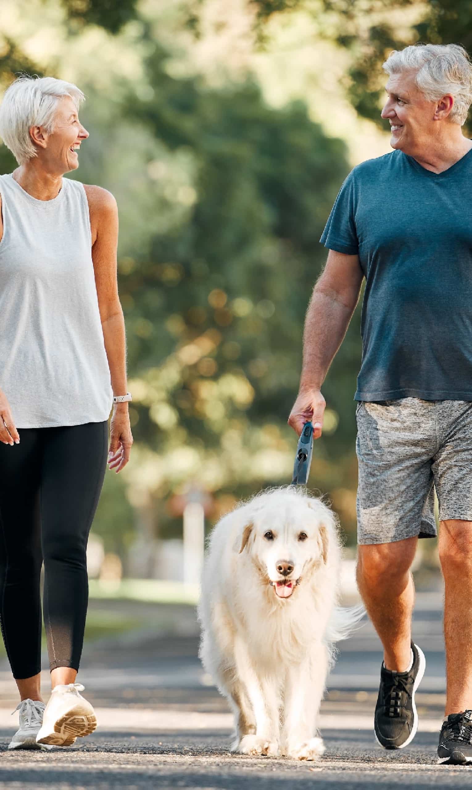 A graphic of a sidewalk in Arbor Valley